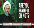 Are You Grateful or Not? | Agha Alireza Panahian | Farsi sub English