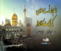  امام رضاؑ سے مومن کی محبت کا انداز | حامد زمانی، عبدالرضا ھلالی | Farsi sub Urdu