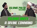  Islamic Unity: A Divine Command | IP Talk Show | English