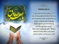 UNITY WEEK: Imam Sadiq (as) on Sabb (using abusive language for the enemies) - English